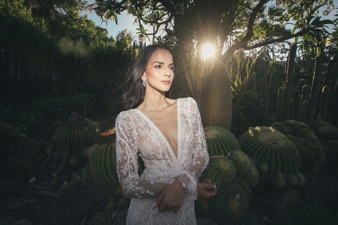 Collection 34 photo by Michael Brikman