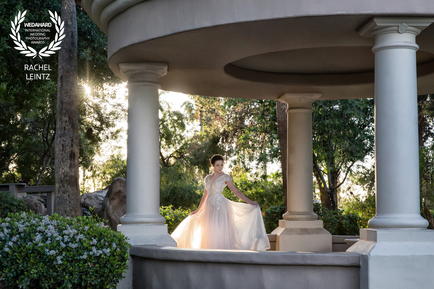 Collection 35 photo by Rachel Leintz