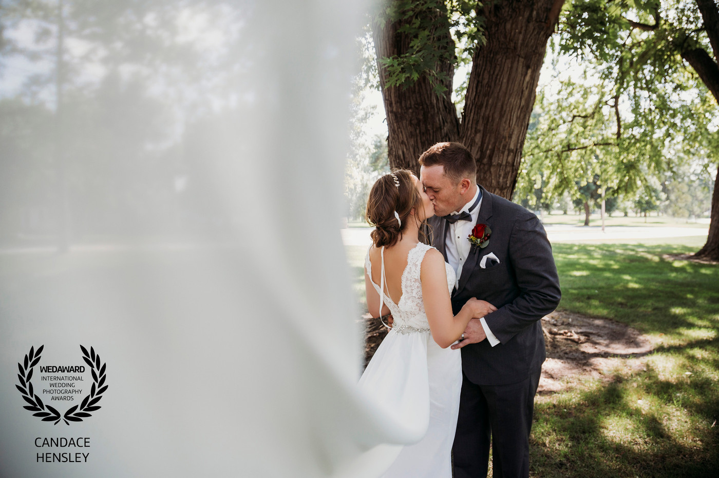 Collection 36 photo by Candace Hensley