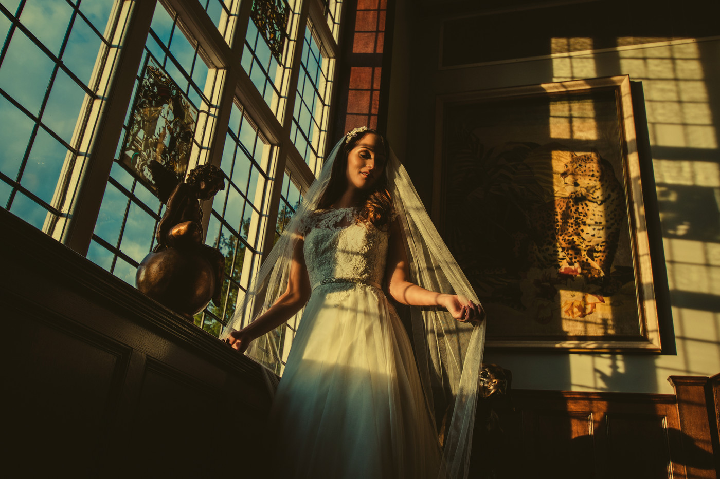Collection 37 photo by Gavin Conlan
