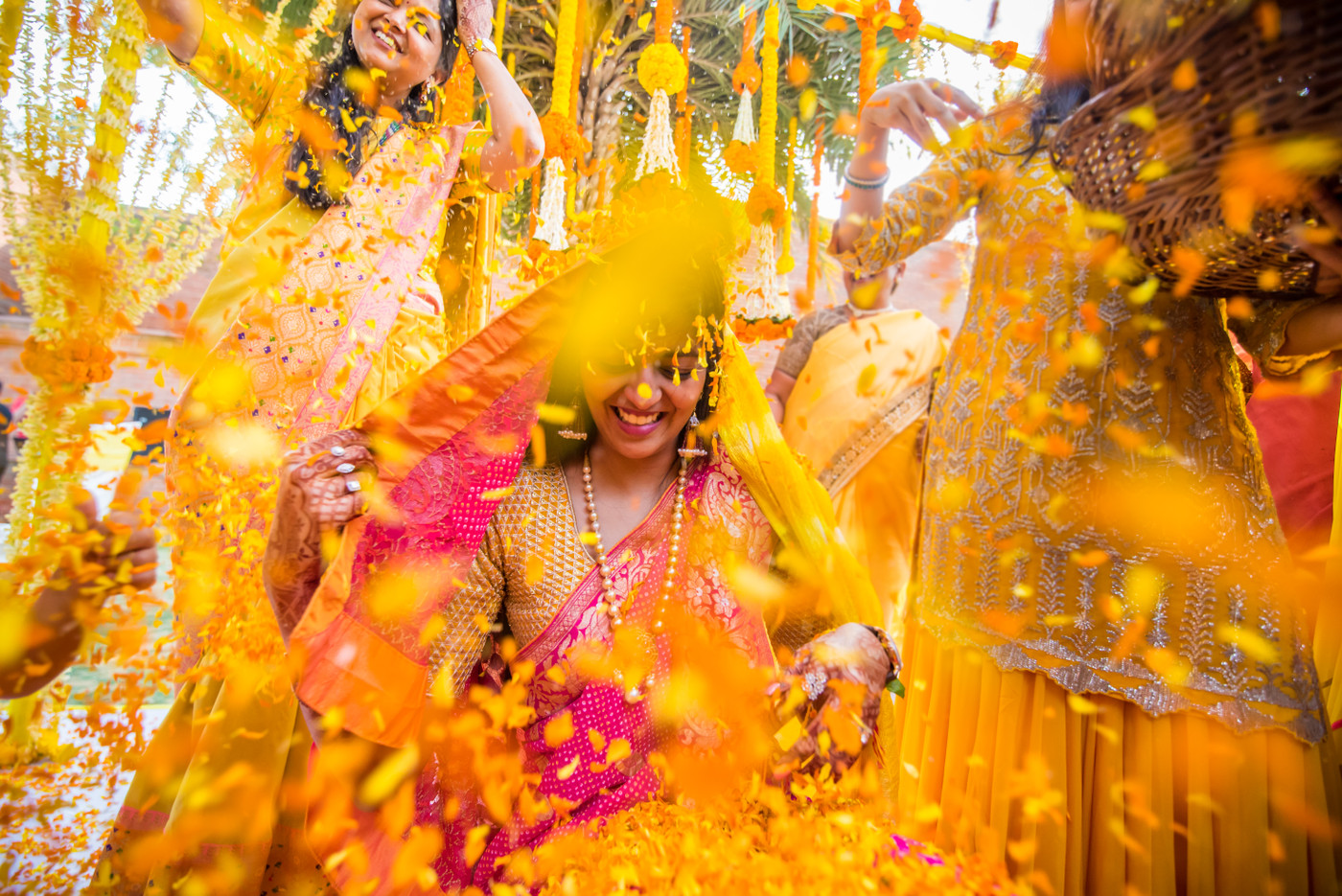 Collection 37 photo by Aditya Marathe