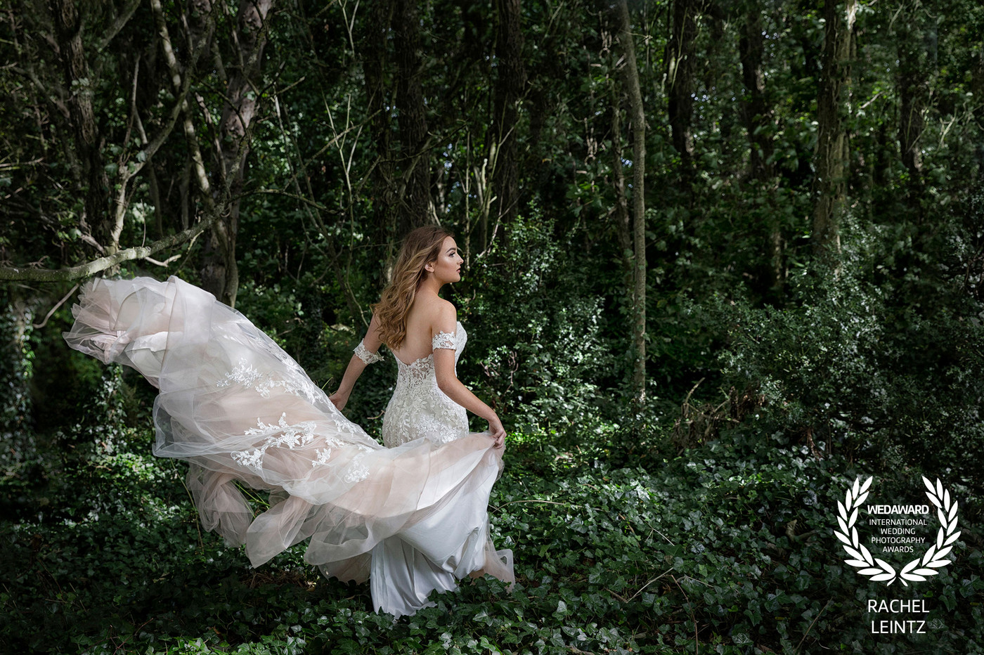 Collection 38 photo by Rachel Leintz