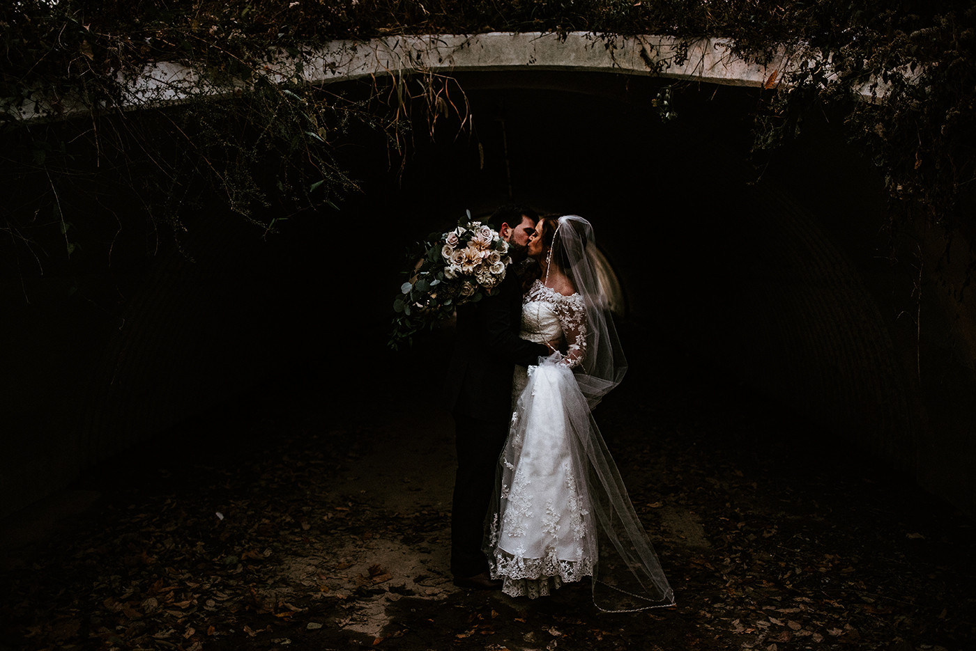 Collection 39 photo by Elizabeth Lloyd