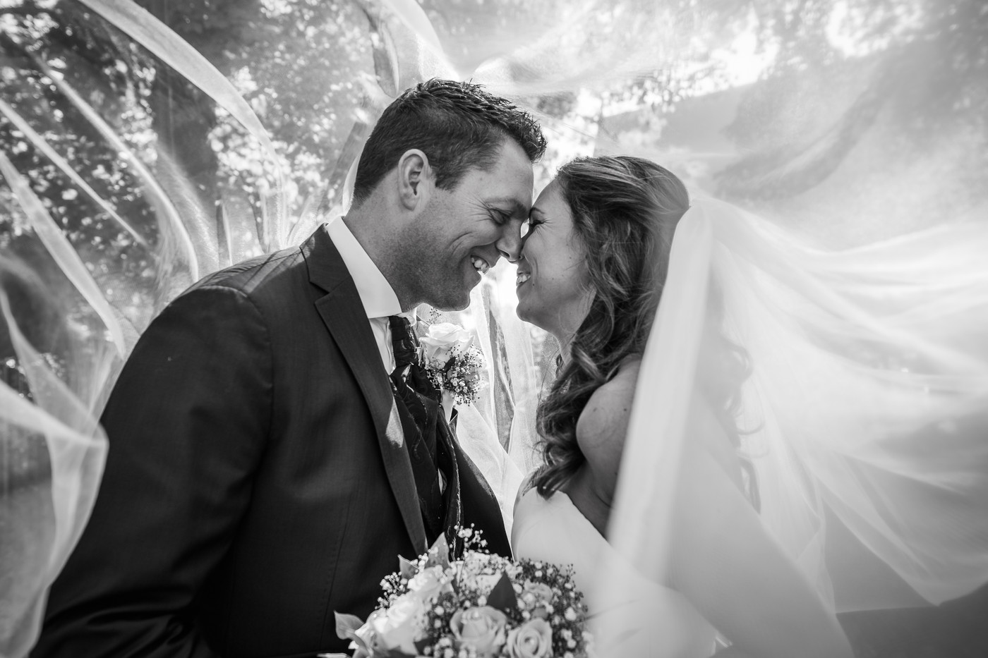 Collection 43 photo by Helen Navajas