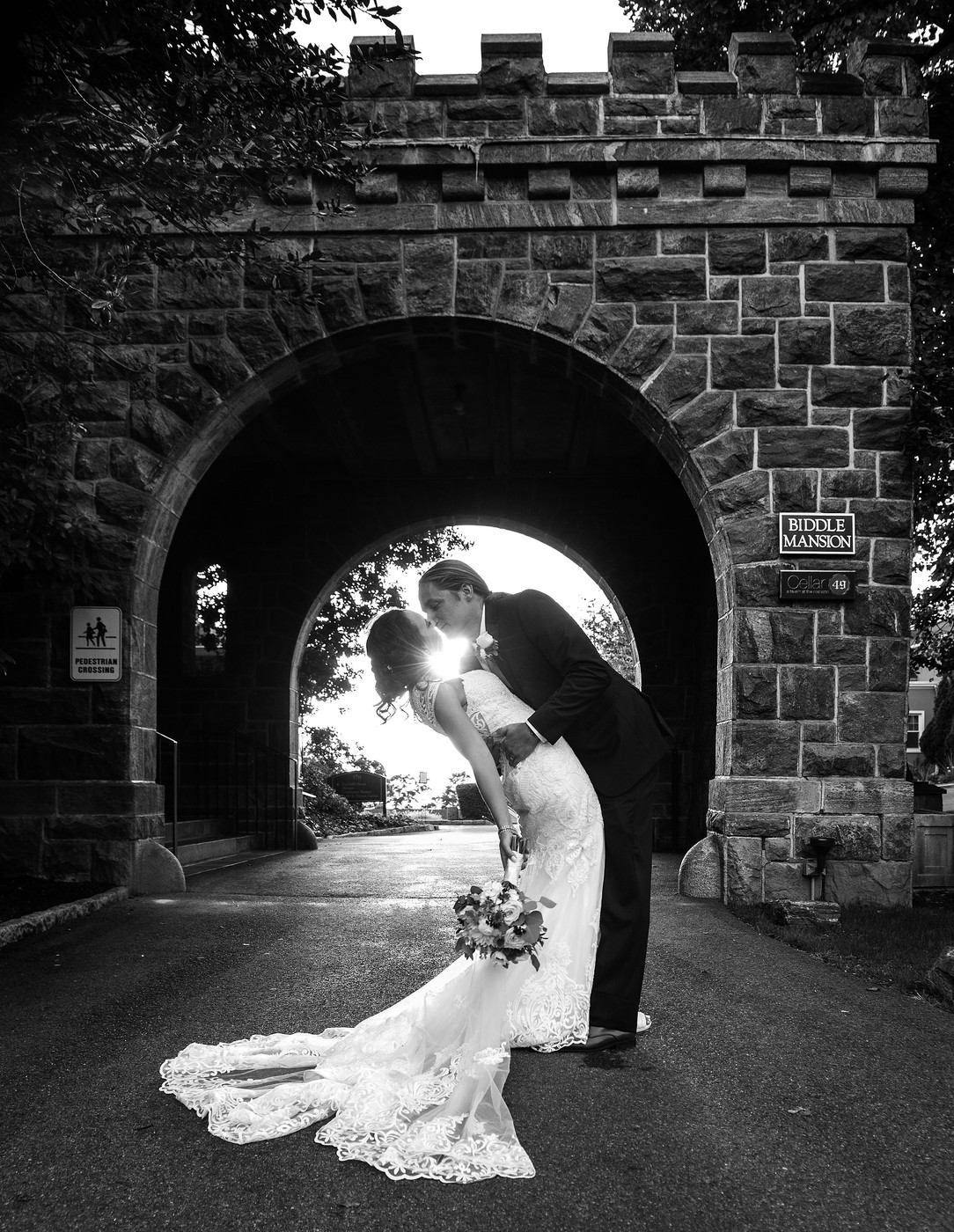 Collection 46 photo by Todd Shapera