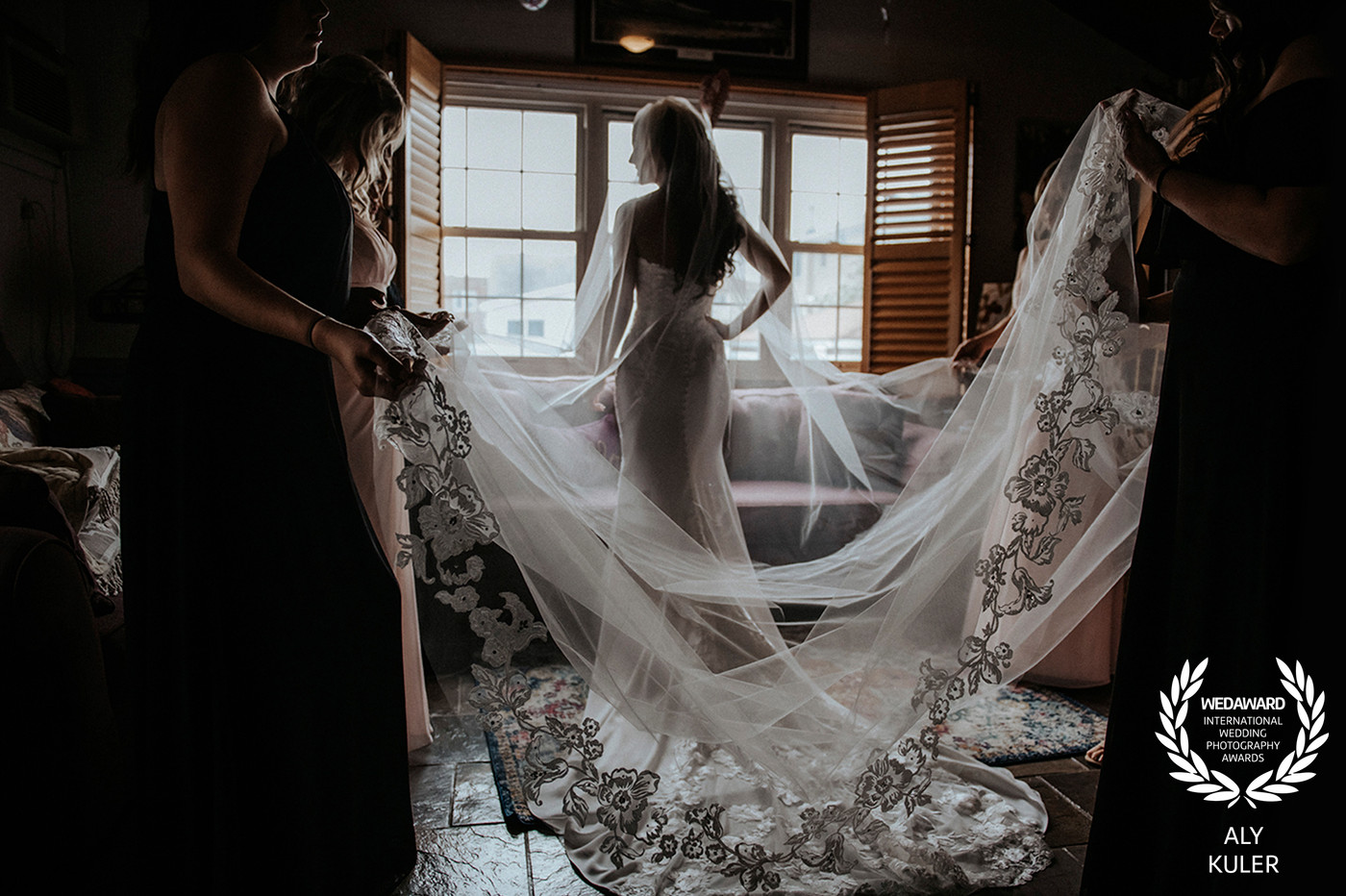 Collection 46 photo by Aly Kuler