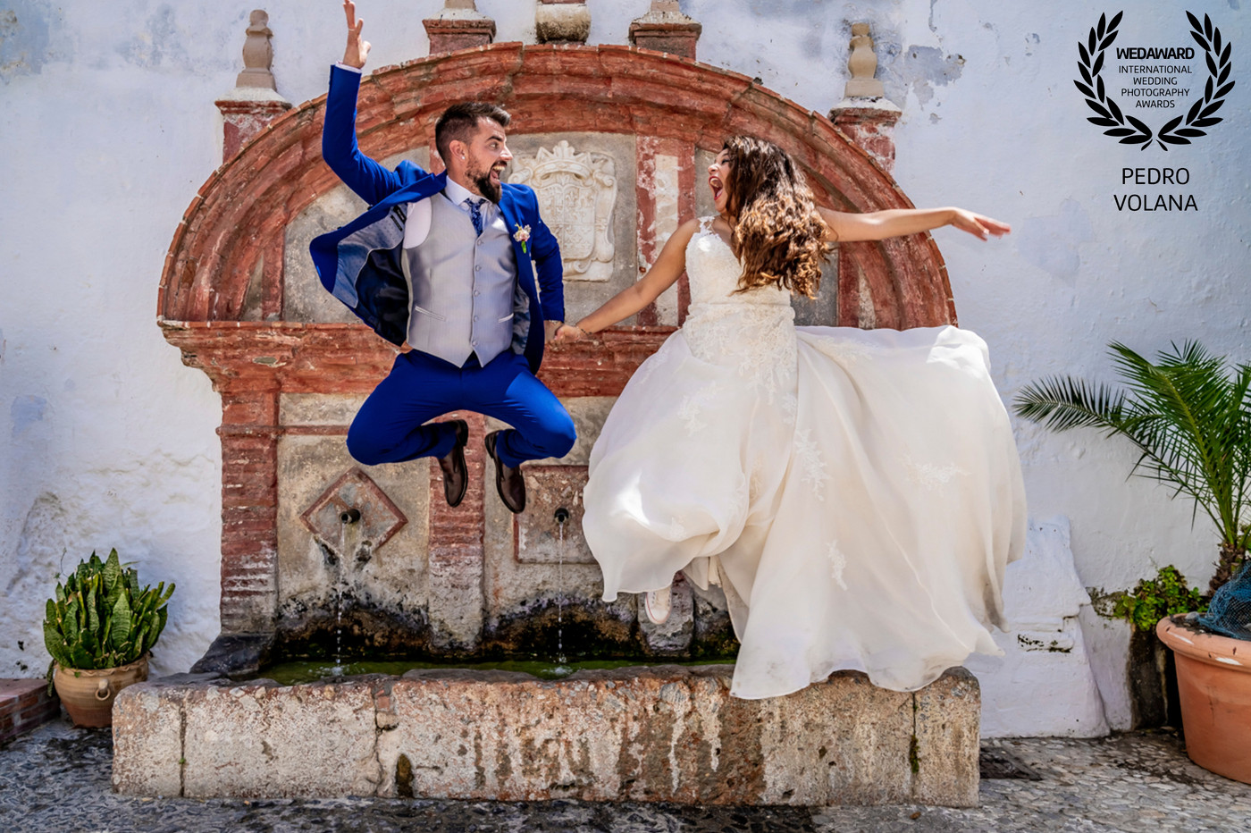Collection 46 photo by Pedro Volana