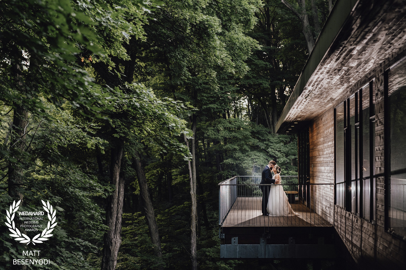 Collection 47 photo by Matt Besenyodi