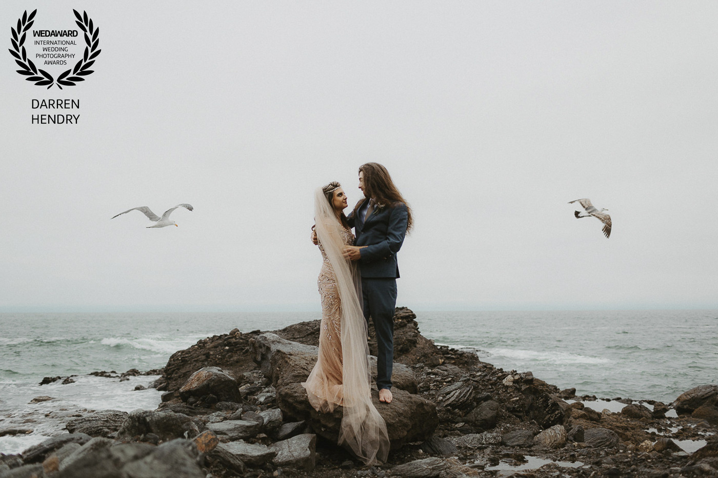 Collection 47 photo by Darren Hendry