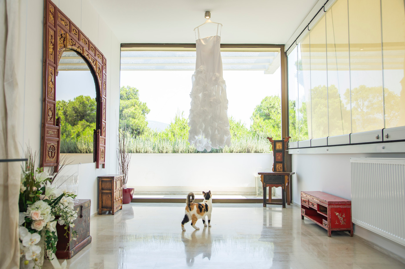 Collection 48 photo by Eleftherios Antoniades