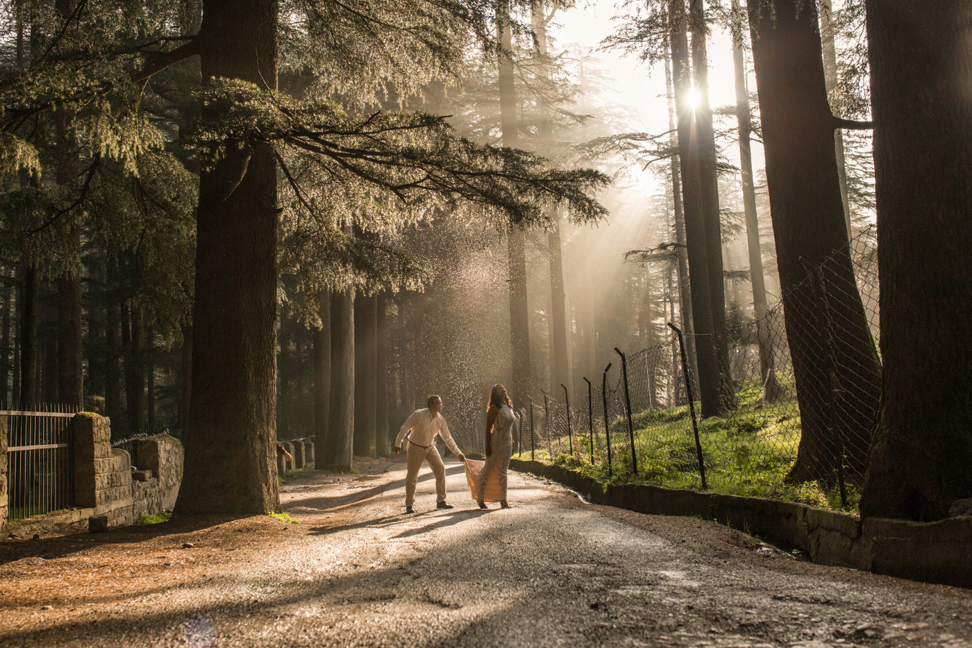 Collection 49 photo by Sonal Dalmia