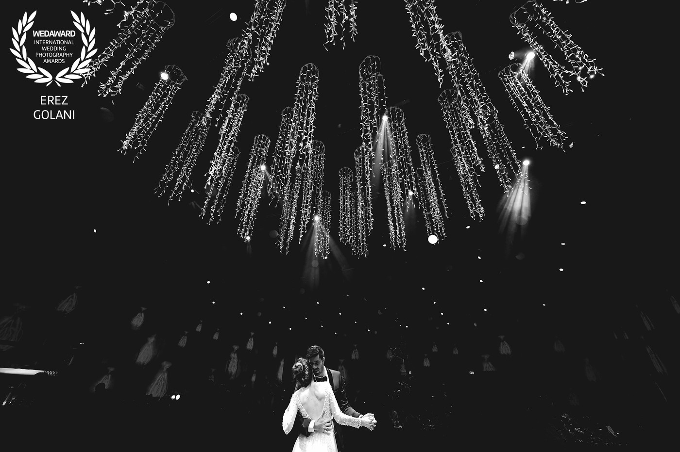 Collection 49 photo by Erez Golani