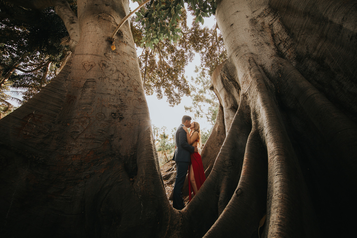Collection 50 photo by Justin Kim