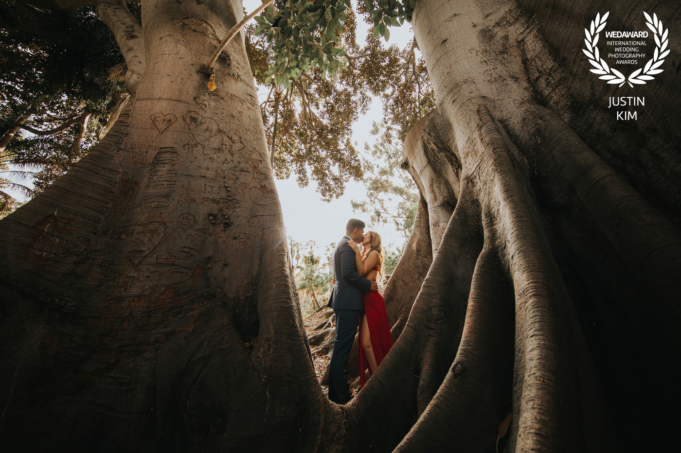 Collection 50 photo by Justin Kim