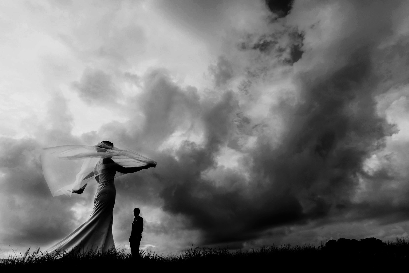 Collection 50 photo by Henna Koponen