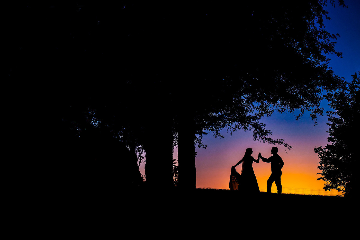 Collection 51 photo by Brad Nyberg