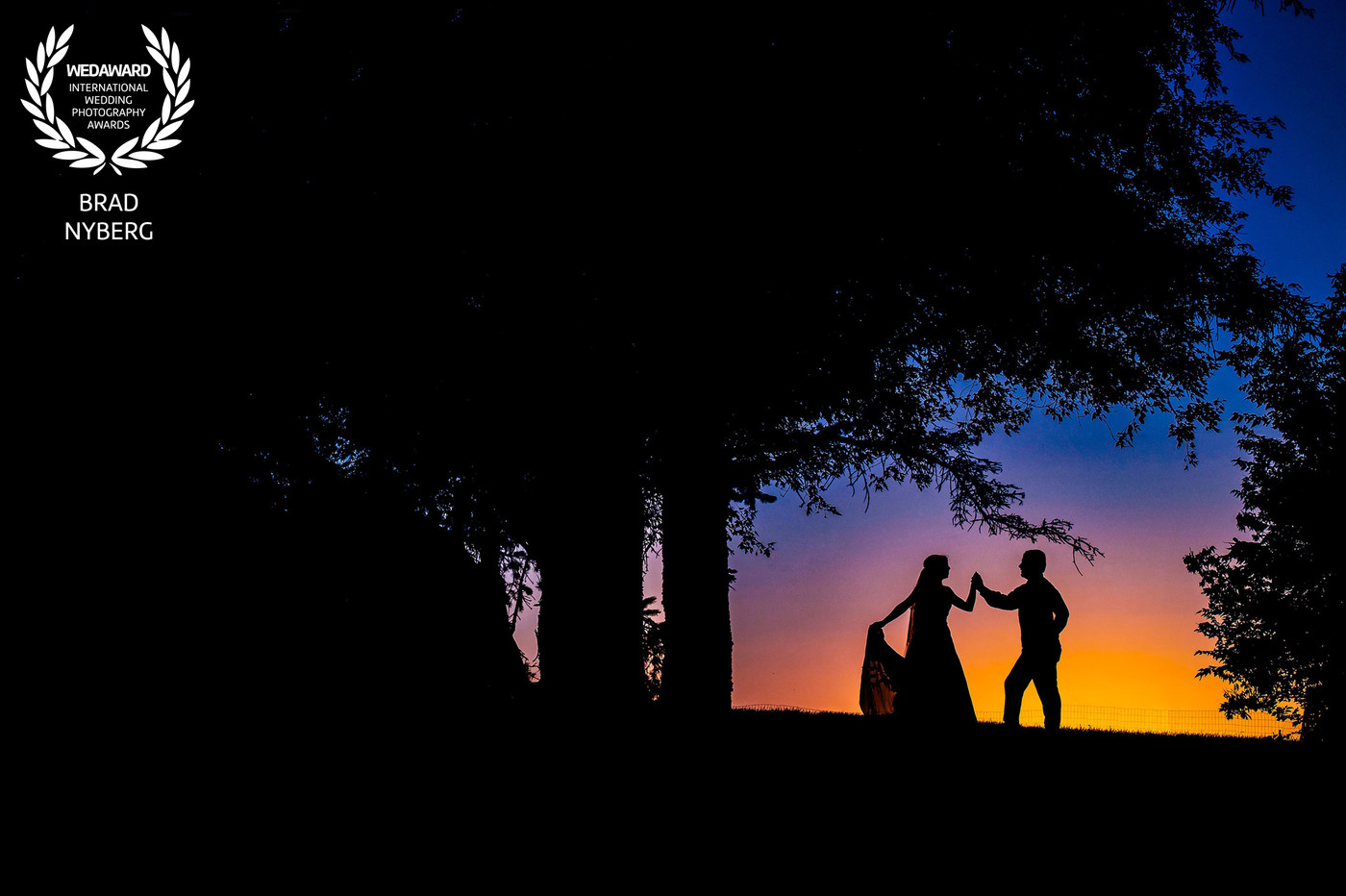 Collection 51 photo by Brad Nyberg