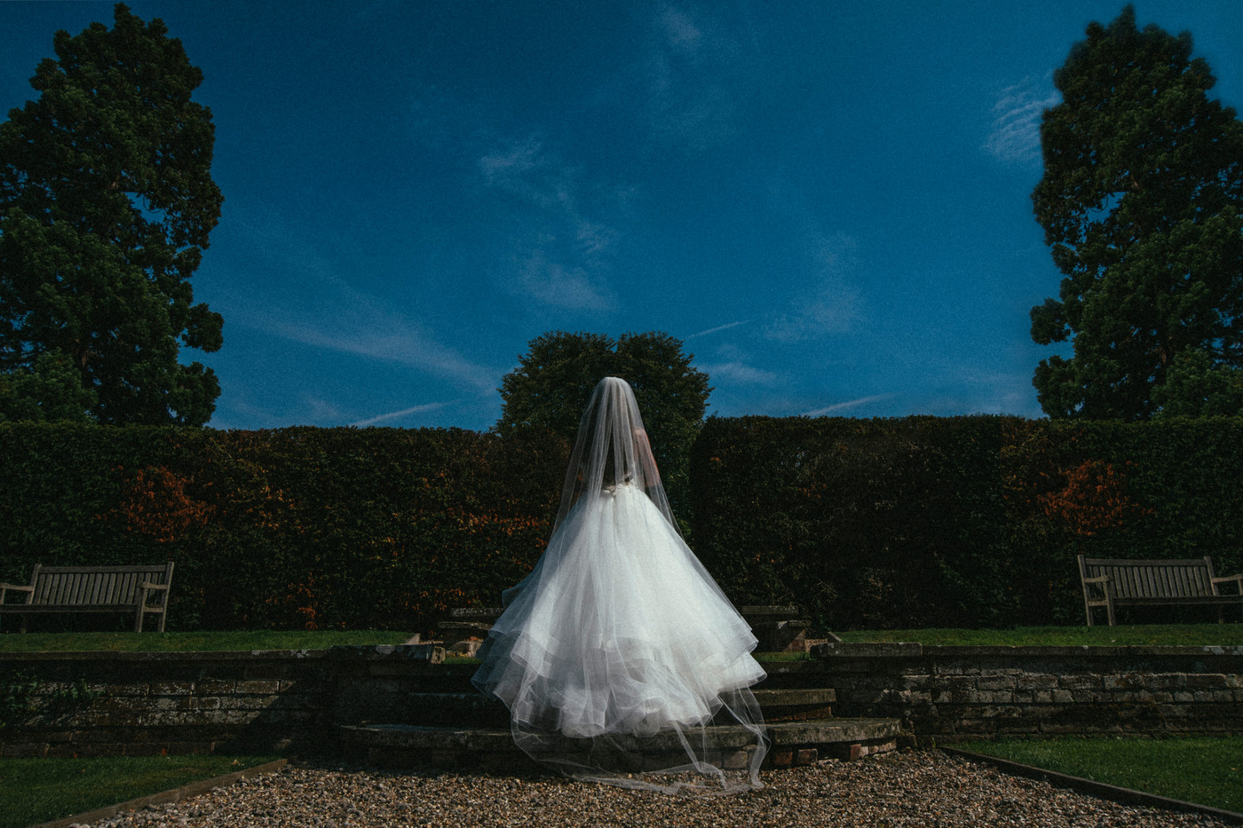 Collection 52 photo by Gavin Conlan