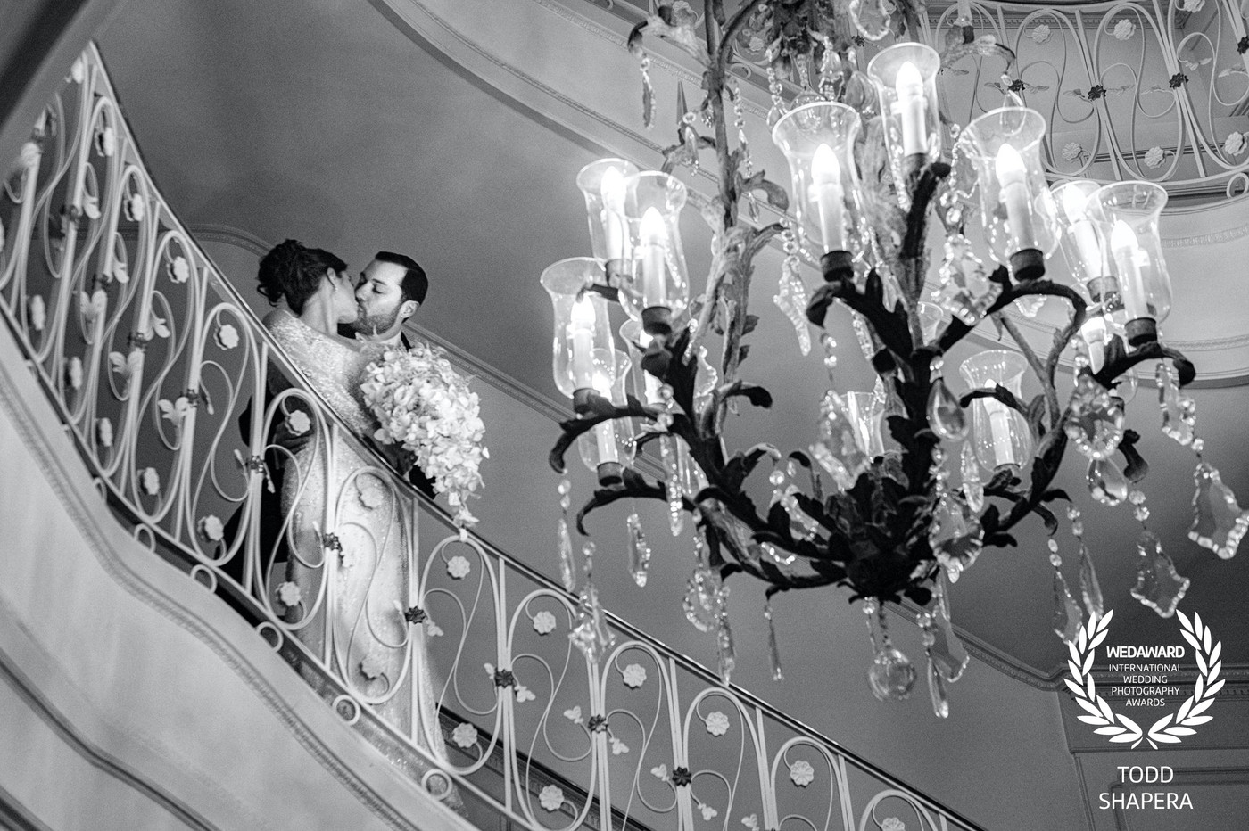 Collection 53 photo by Todd Shapera