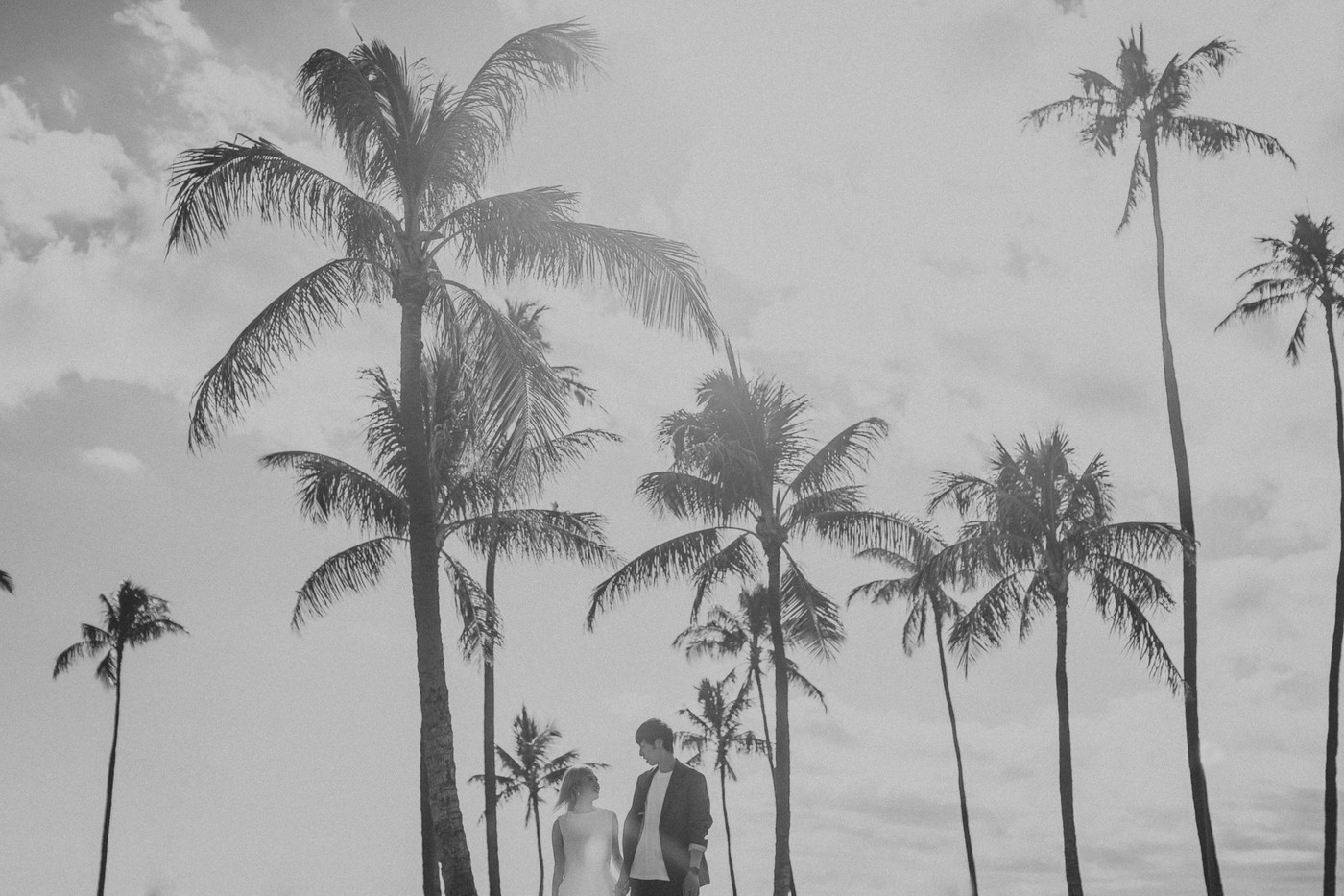 Collection 53 photo by Takako Nishimura
