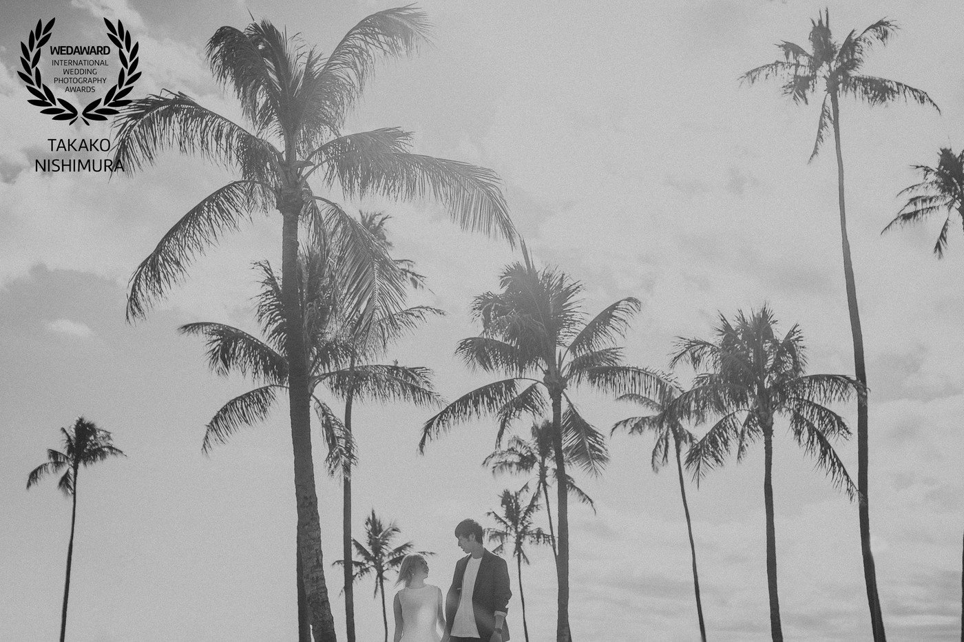 Collection 53 photo by Takako Nishimura