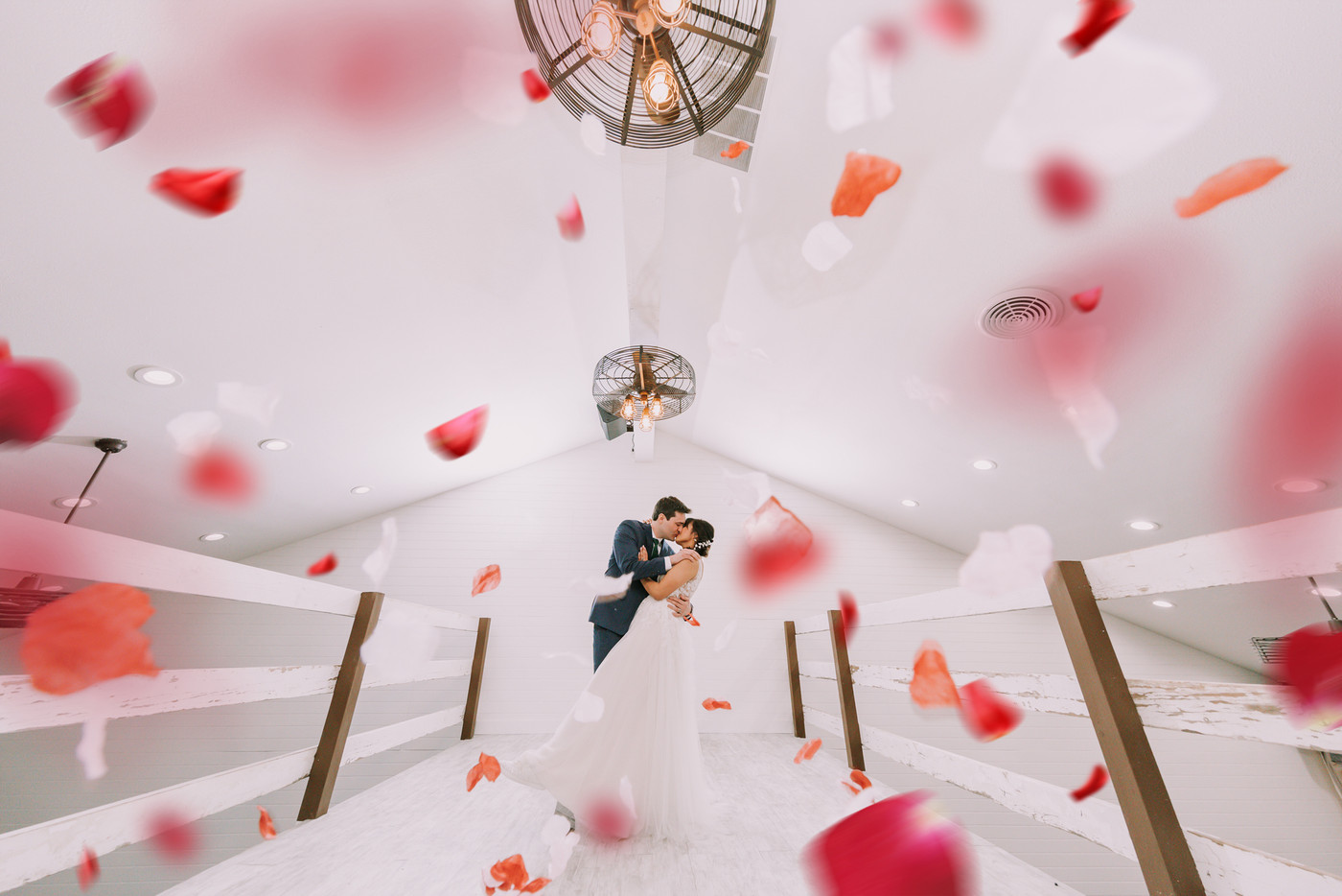 Collection 53 photo by Justin Kim