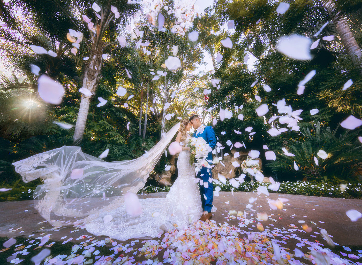 Collection 53 photo by Justin Kim