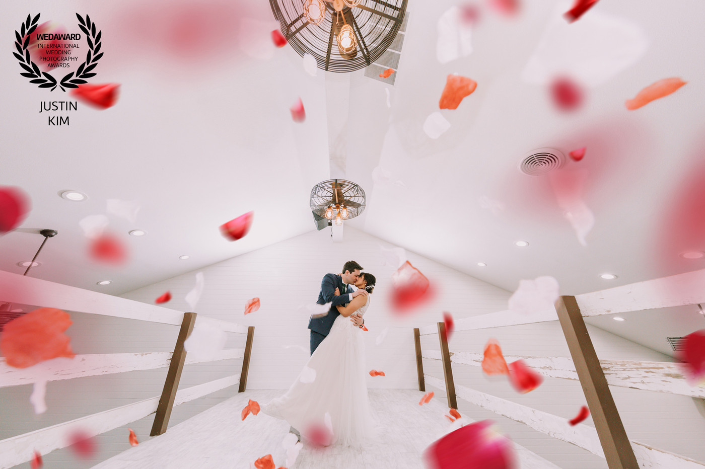 Collection 53 photo by Justin Kim
