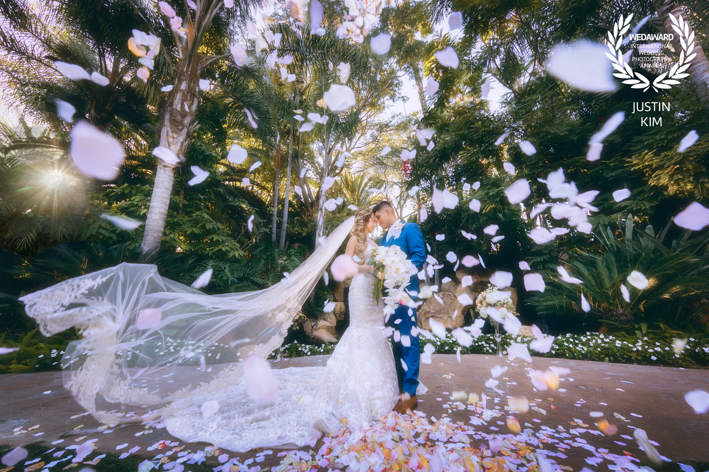 Collection 53 photo by Justin Kim