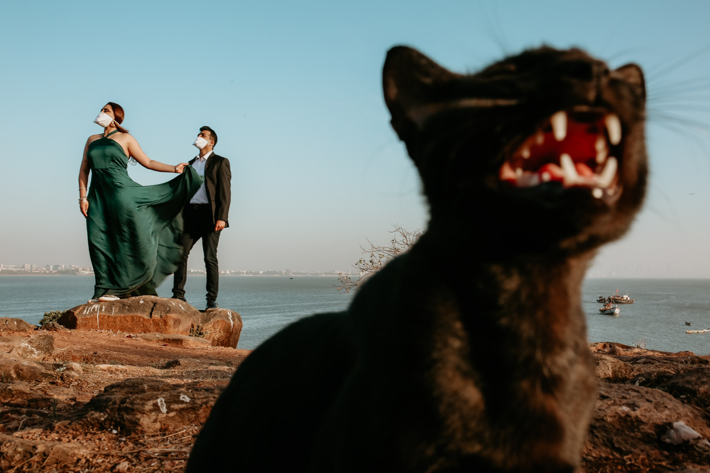 Collection 54 photo by Sonal Dalmia