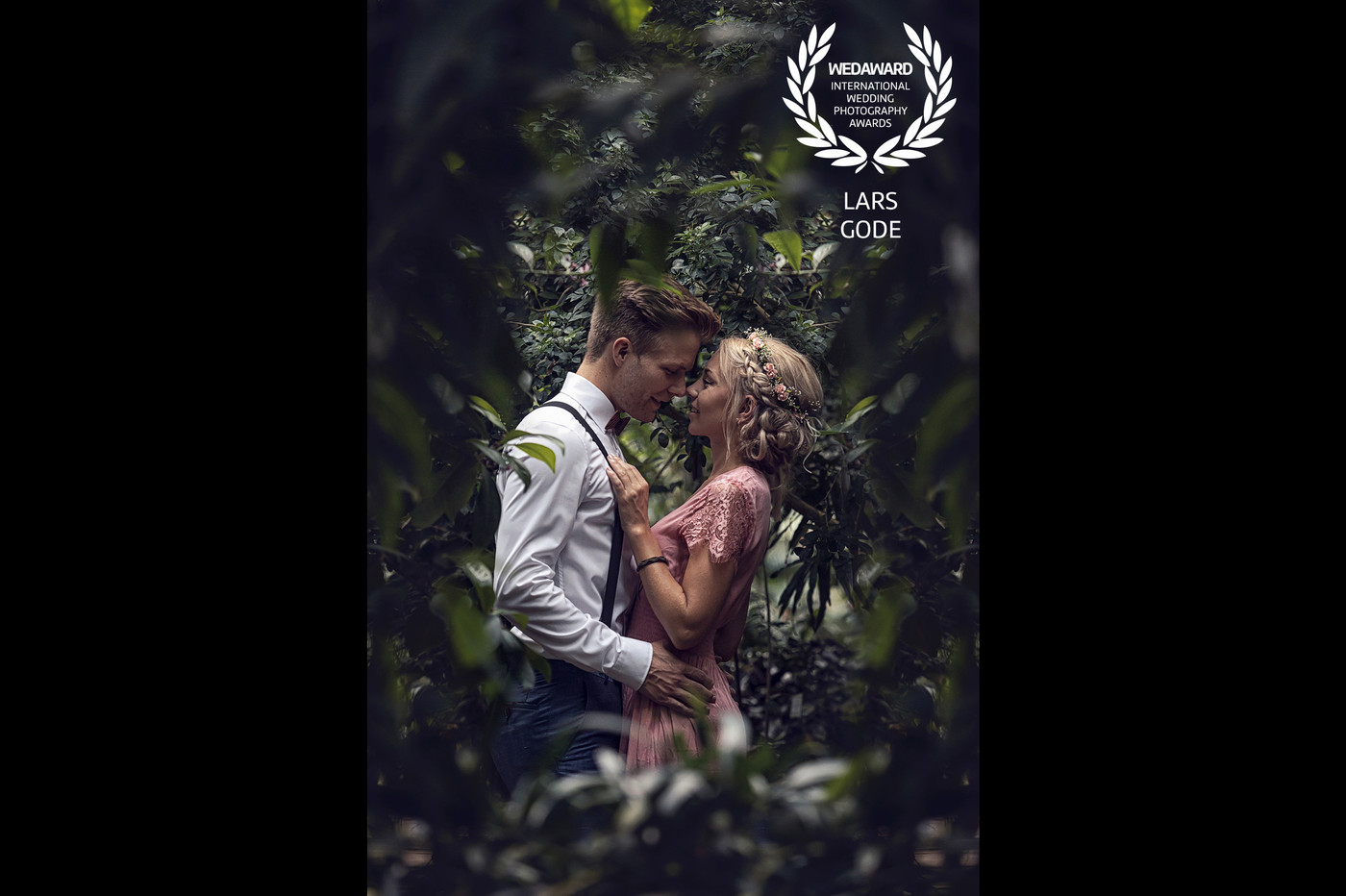 Collection 55 photo by Lars Gode
