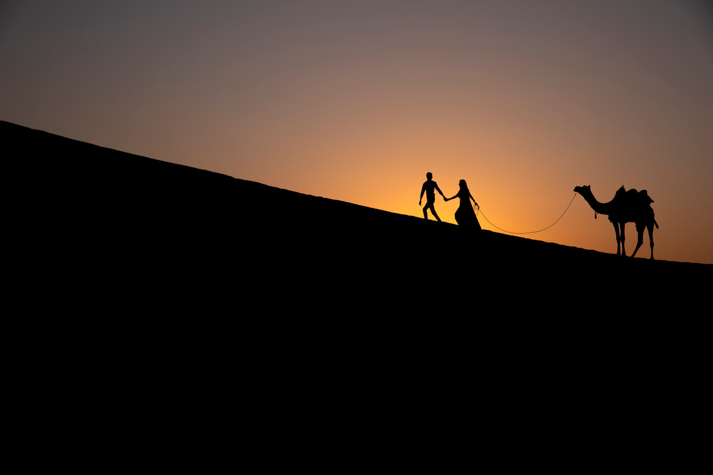 Collection 57 photo by Ravi Patel