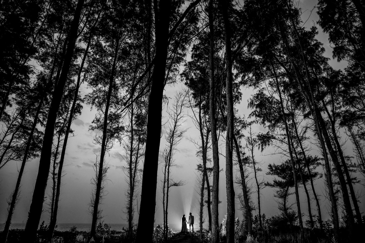Collection 58 photo by Ravi Patel