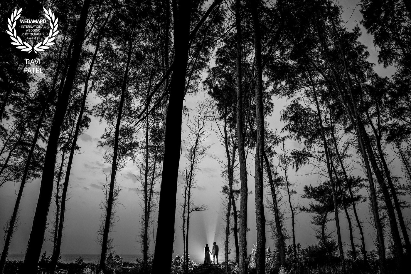 Collection 58 photo by Ravi Patel