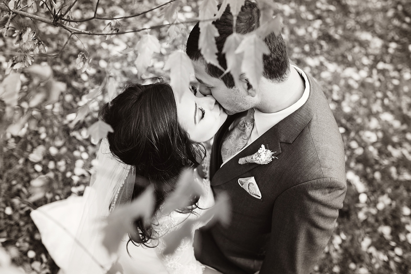 Collection 6 photo by Rae Fehr
