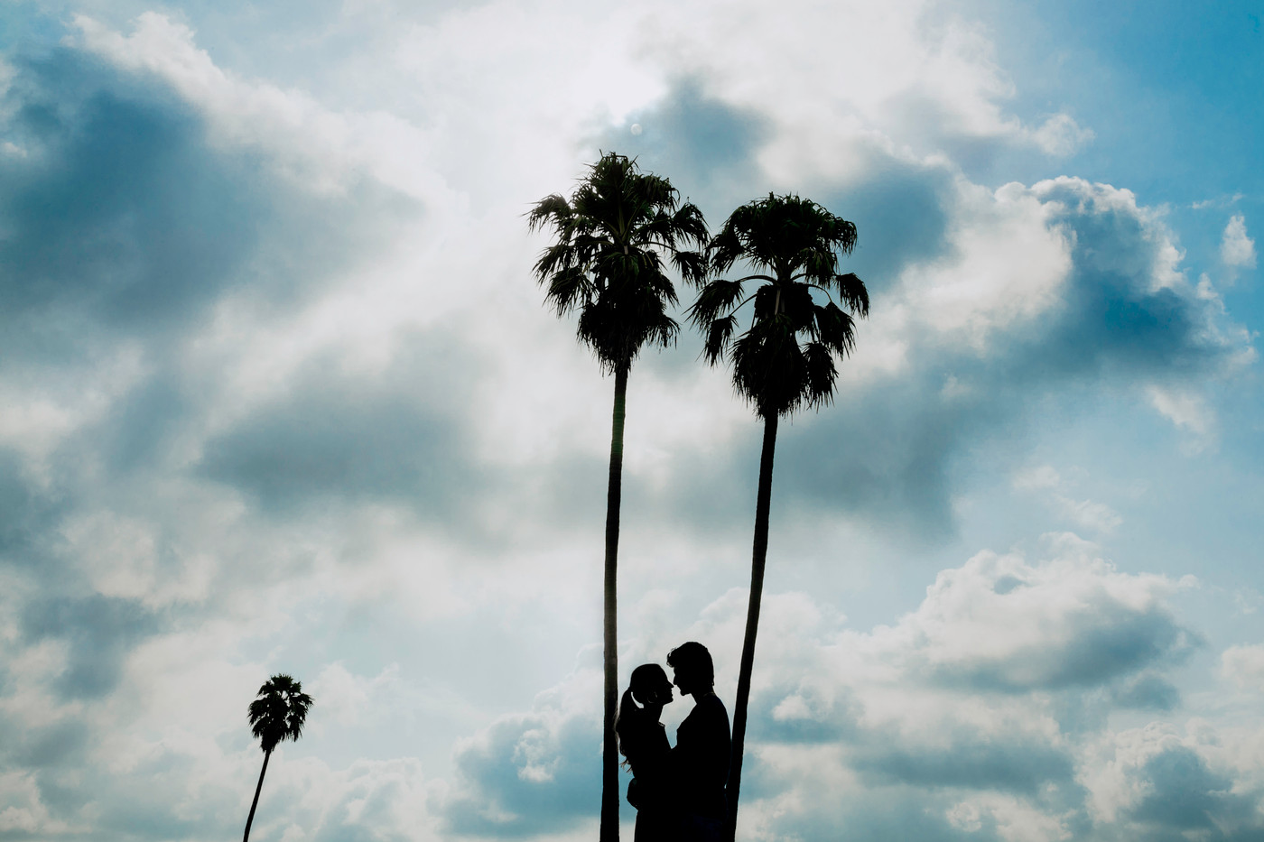 Collection 59 photo by Ravi Patel