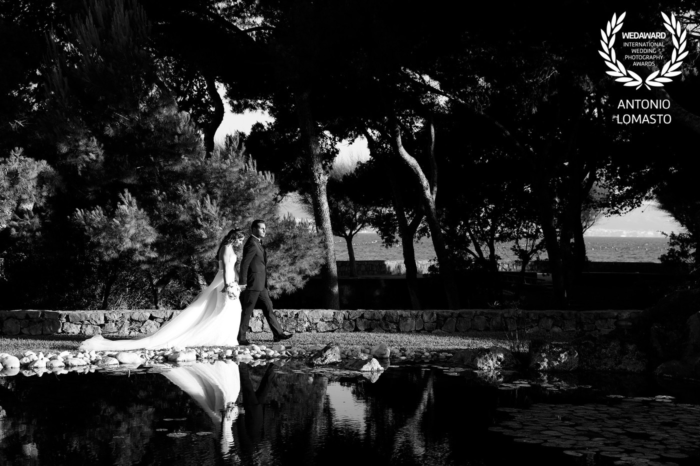 Collection 59 photo by Antonio Lomasto