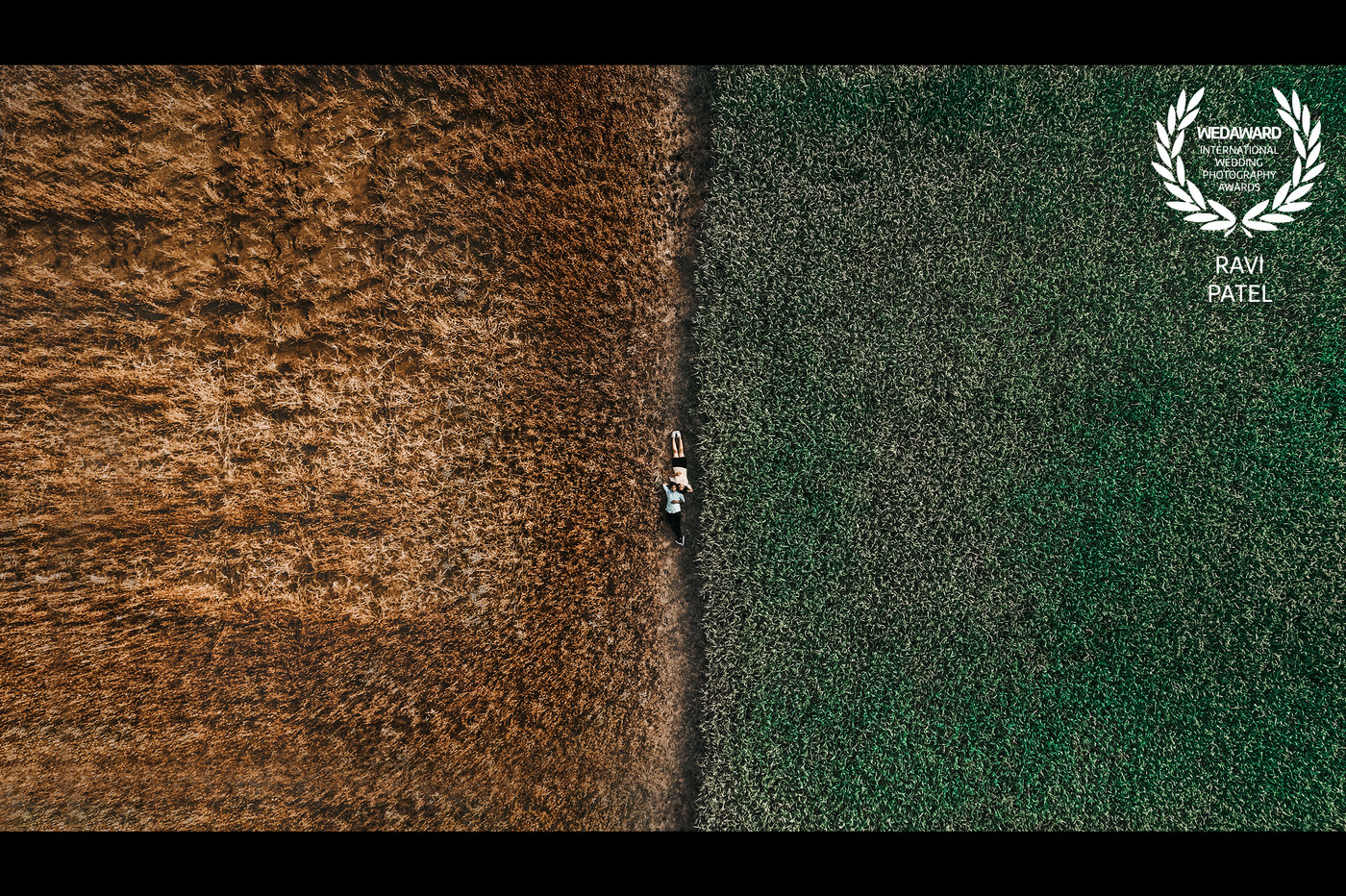 Collection 61 photo by Ravi Patel