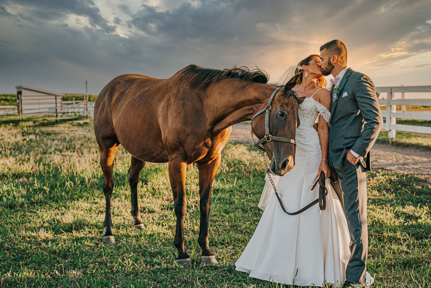 Collection 62 photo by Katie Velasquez