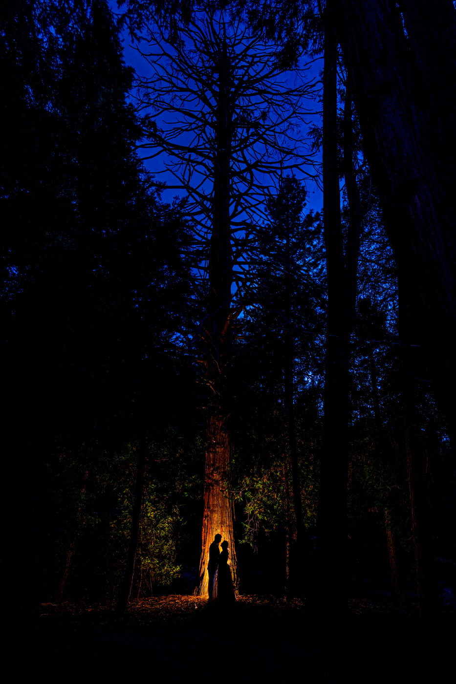 Collection 63 photo by Jason Perryman