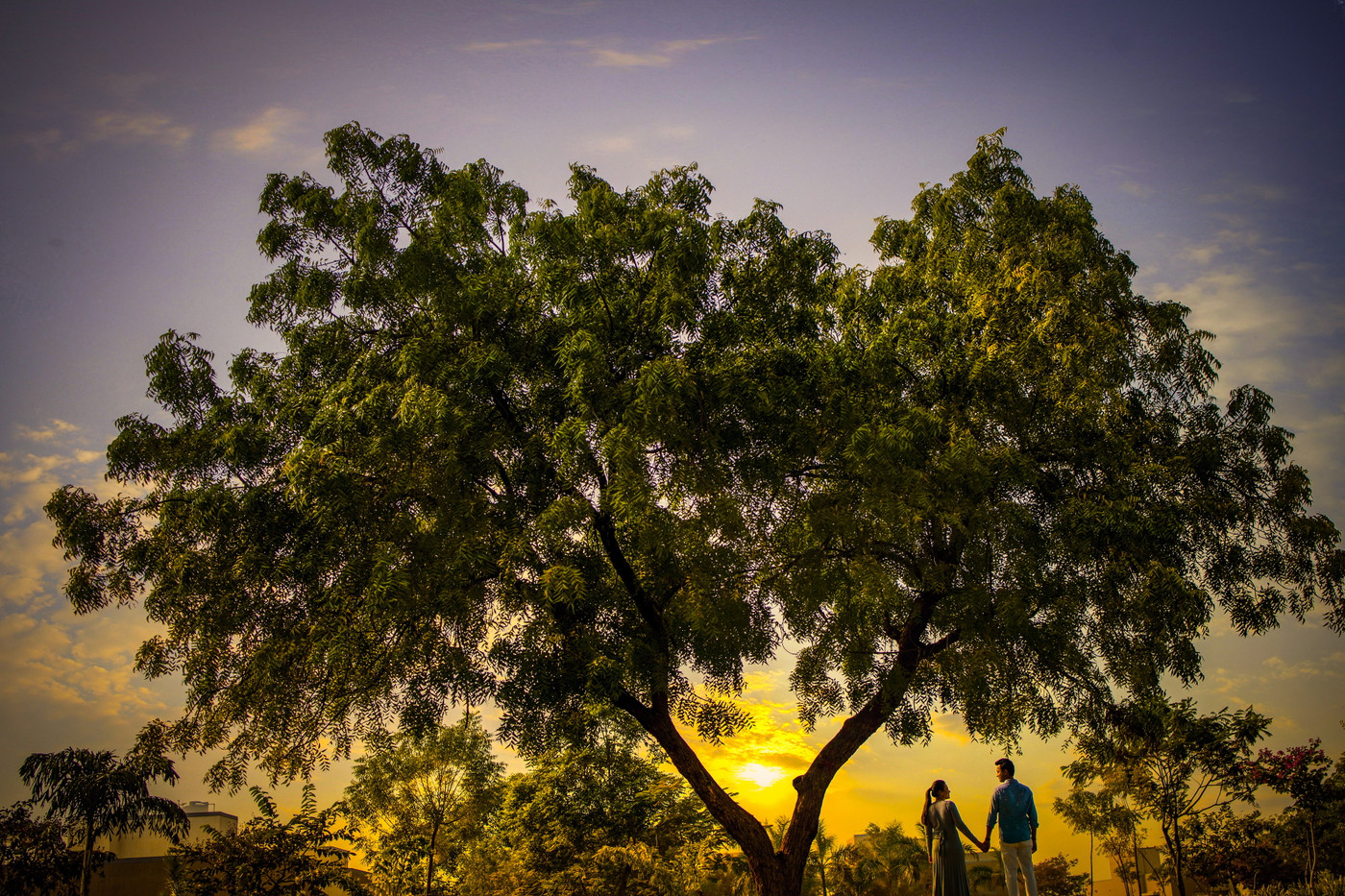 Collection 64 photo by Shail Chudgar