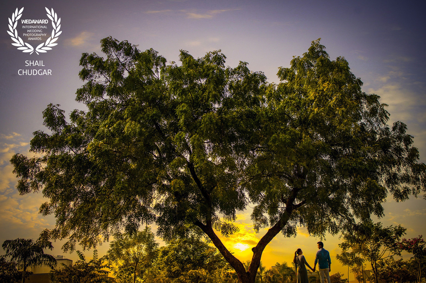 Collection 64 photo by Shail Chudgar