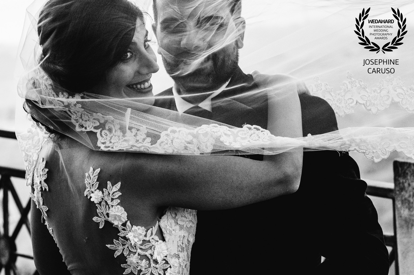 Collection 65 photo by Josephine Caruso