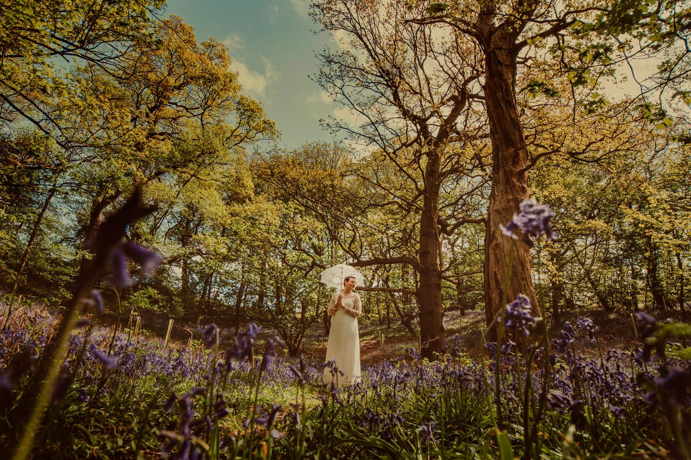 Collection 68 photo by Gavin Conlan