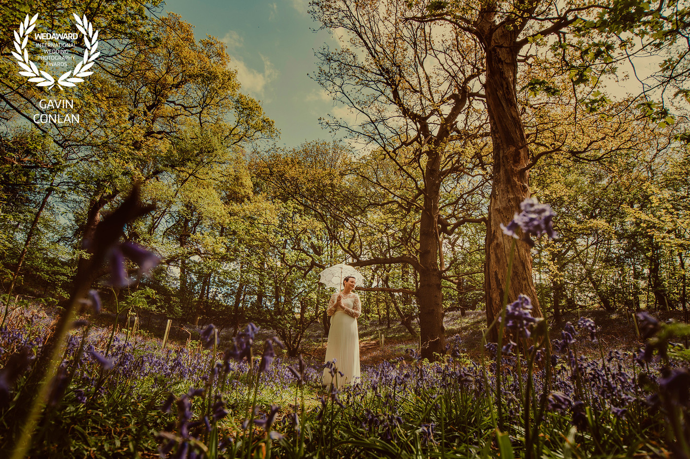 Collection 68 photo by Gavin Conlan