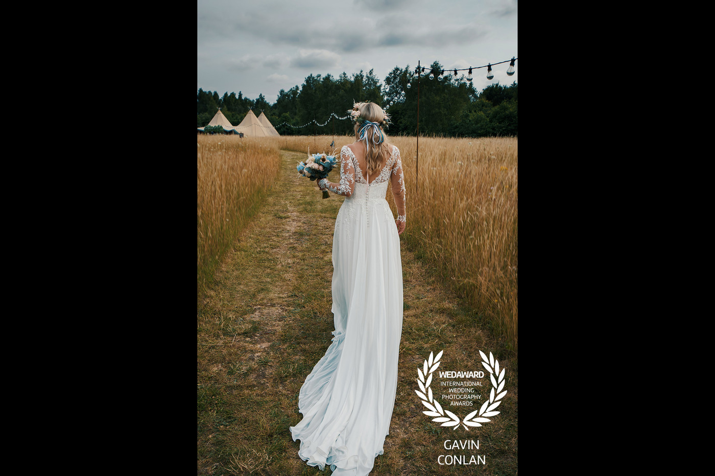 Collection 71 photo by Gavin Conlan