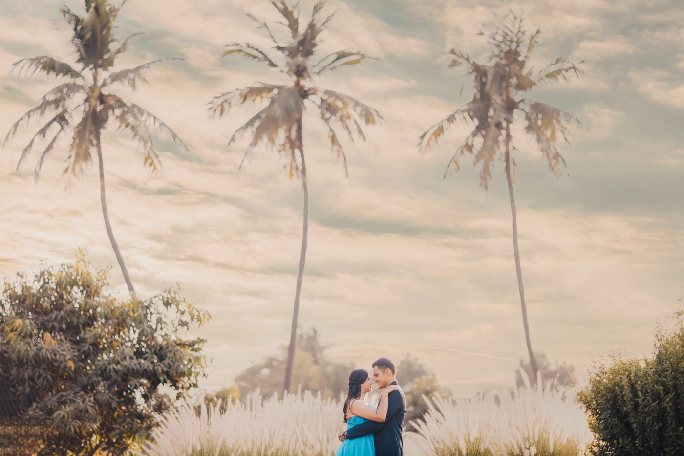 Collection 71 photo by Shail Chudgar