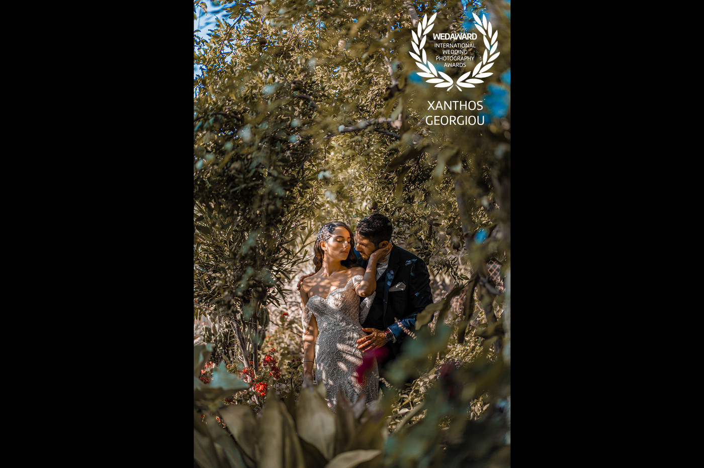 Collection 71 photo by Xanthos Georgiou
