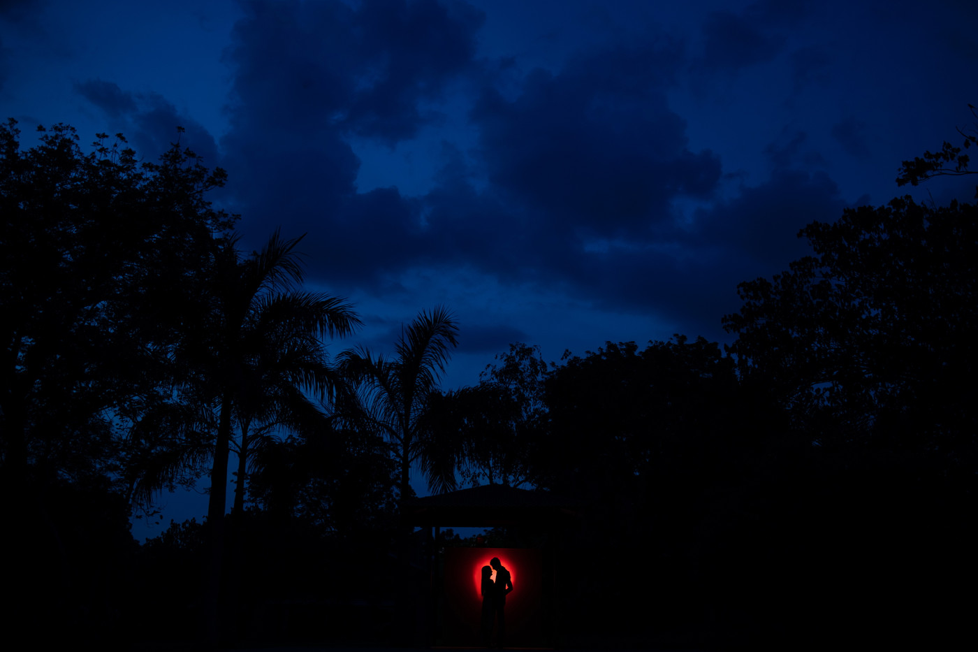 Collection 72 photo by Shail Chudgar