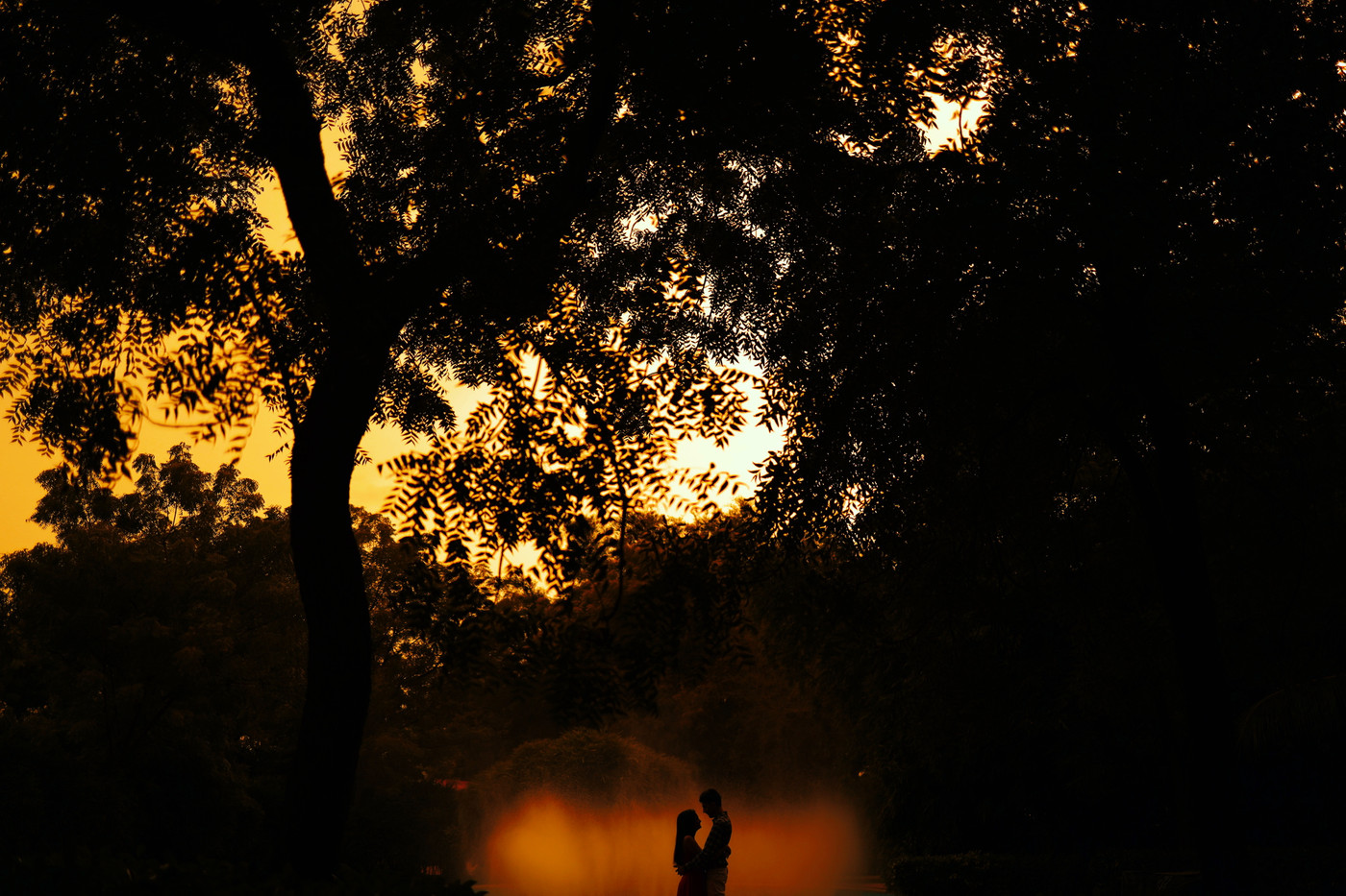 Collection 74 photo by Shail Chudgar